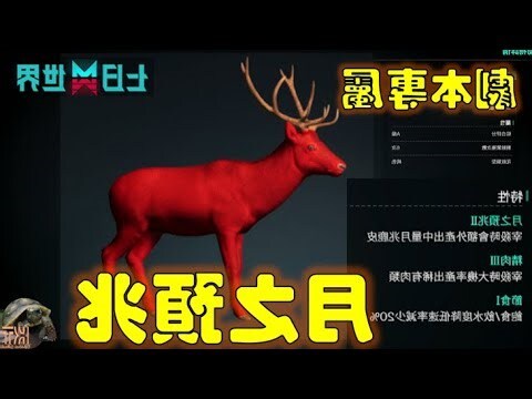 蜘蛛 預兆